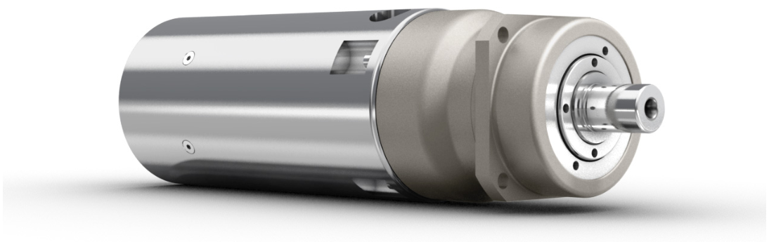 Wittenstein Cyber Radhard Motors